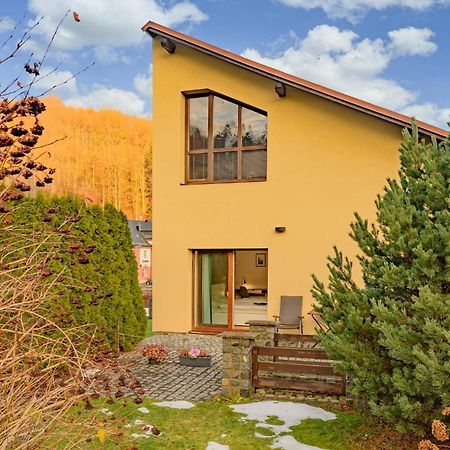 Apartman Hamrovka Velké Hamry Exterior foto